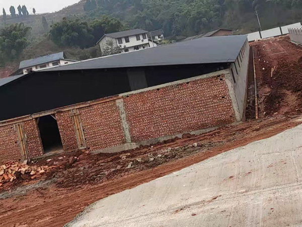 榮昌區彩鋼棚工程案列